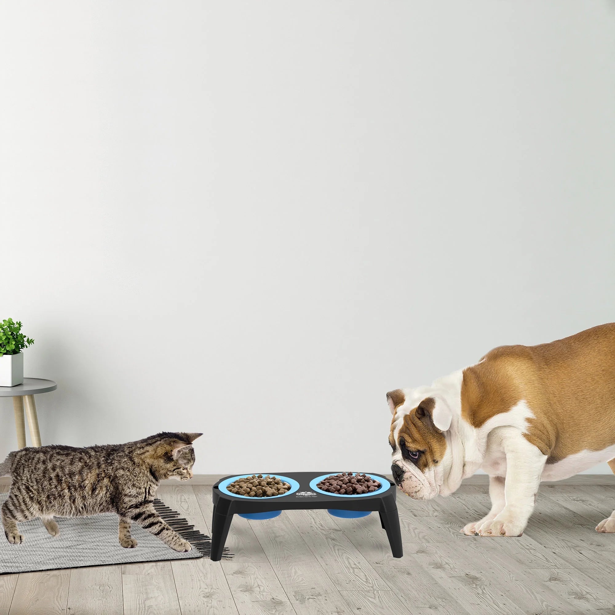 Premium Elevated Pet Feeding Station with Nonslip Base for Dogs & Cats