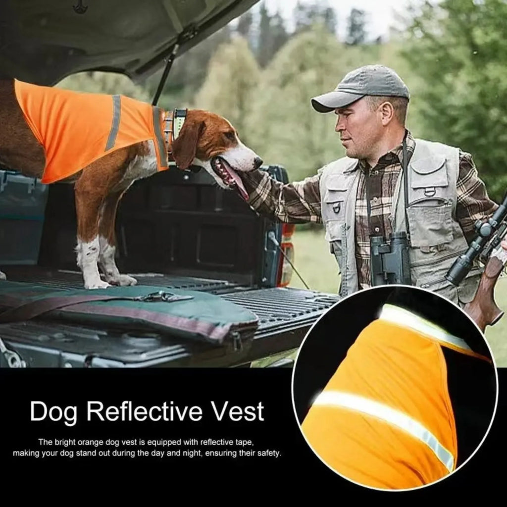 Reflective Dog Safety Vest High Visibility Yellow Fluorescent Dog Clothes Dog Hi Vis Jacket Coat Outdoor Night Safety Pet Supply