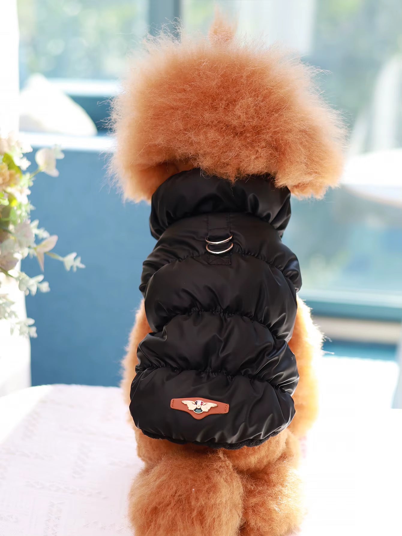 Dog Jacket for Autumn/Winter, Pet Coat, 3-Layer Thick Warm Outerwear, Suitable for Small to Medium Dogs like Poodle, Teddy, York