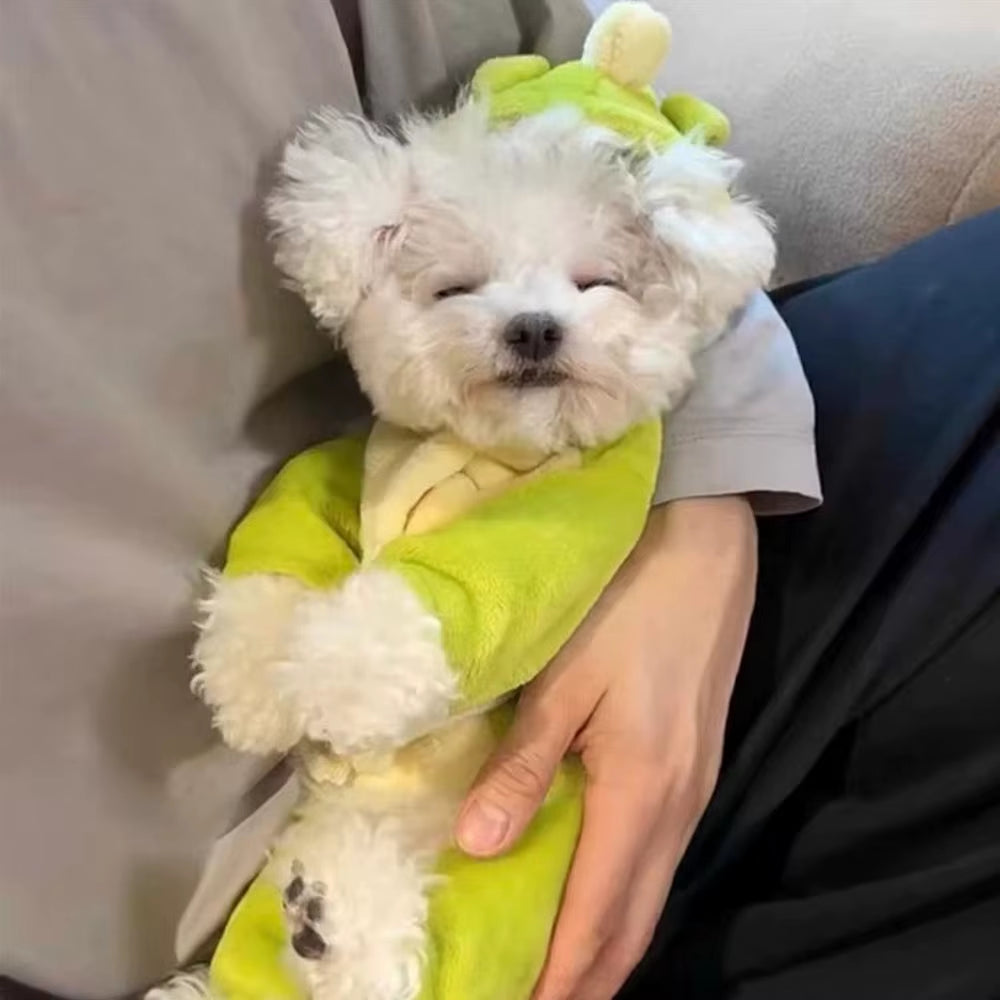 Autumn Winter Dog Clothes Cute Cat Costume Dinosaur Cosplay Outfits for Small Dogs in Fleece Coat with 4 Legs Funny Pet Clothes