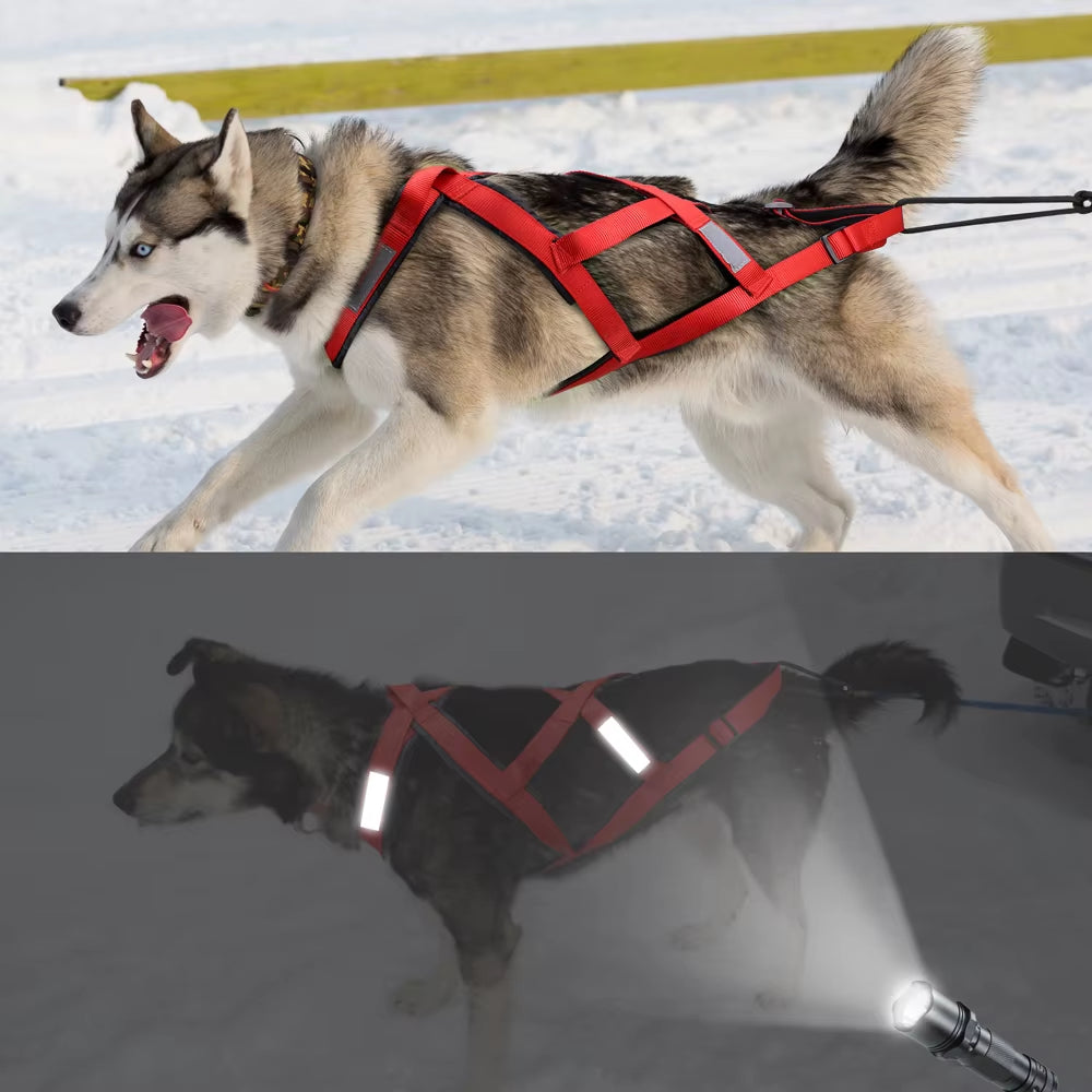 Waterproof Dog Sledding Harness Reflective Pet Sledding Skijoring Harness Big Large Dogs Weight Pulling Vest for Pet Training