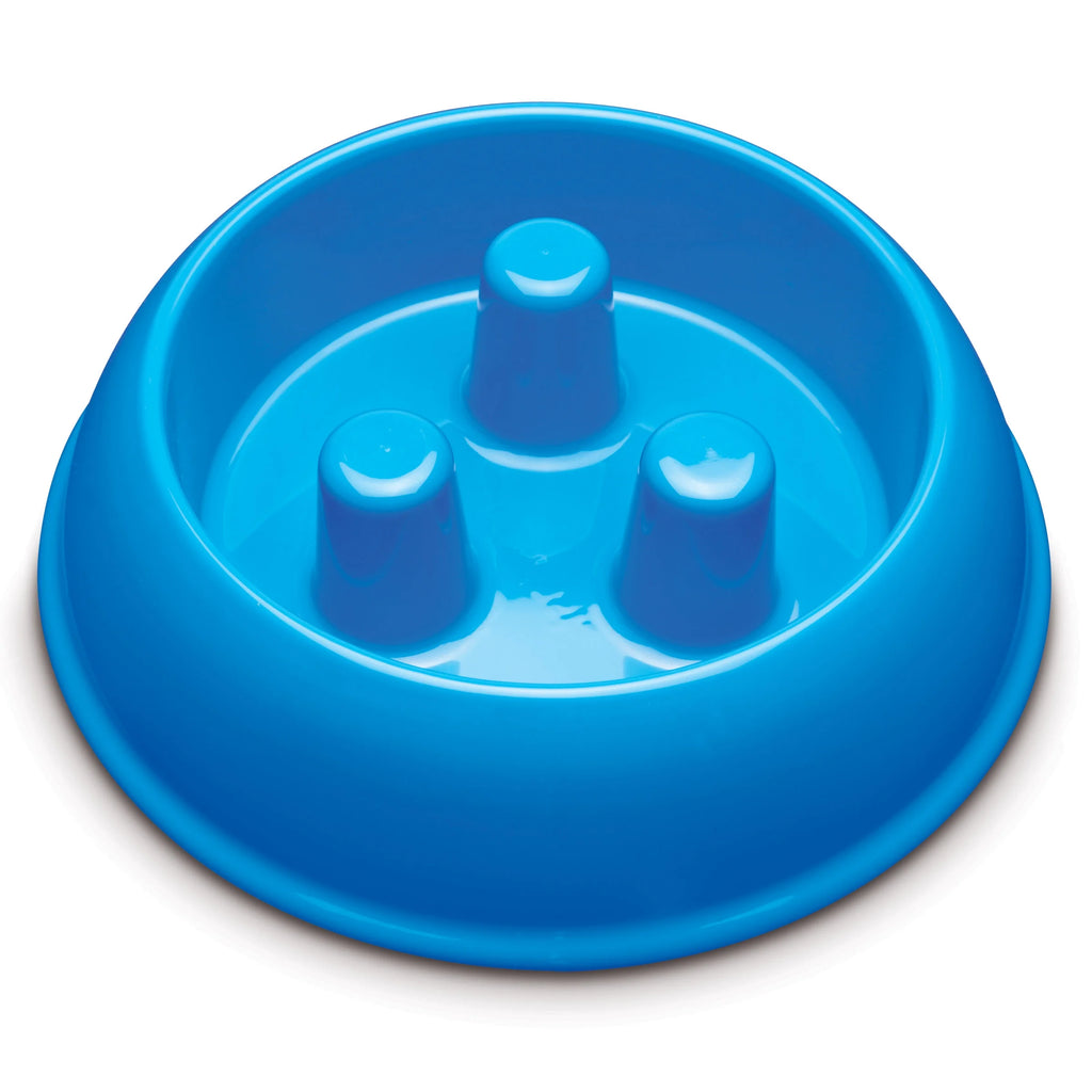 Plastic Slow Feeder Dog Bowl 40Oz, Blue