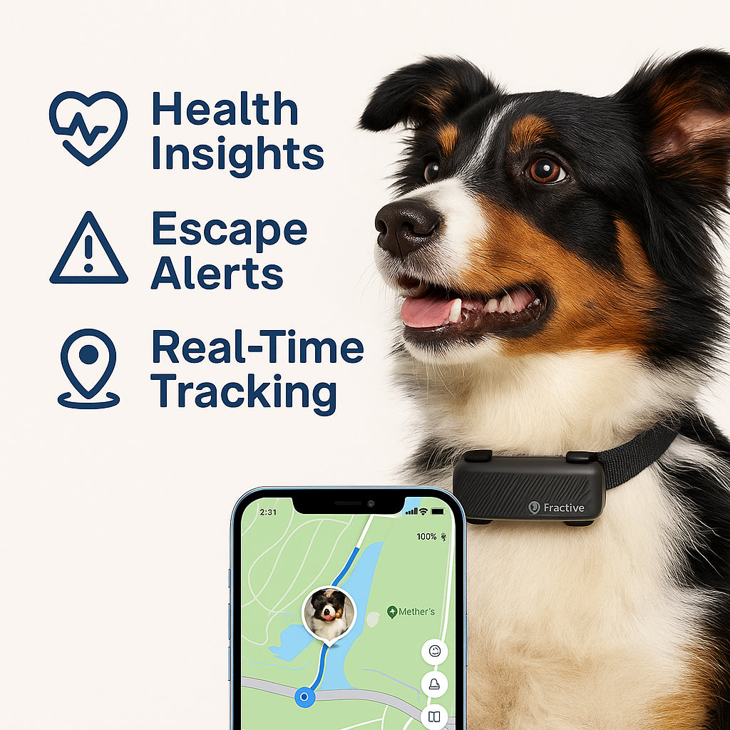 Smart Dog GPS Tracker with Health & Bark Monitor – Live Tracking + Virtual Fence