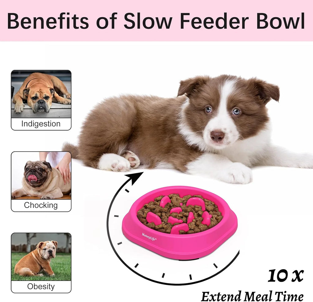 Slow Feeder Dog Bowls, Non Slip Cat Food Bowls, Bloat Stop Maze Pet Dishes, Interactive Feeder for Small Breeds 1 Cup Purple